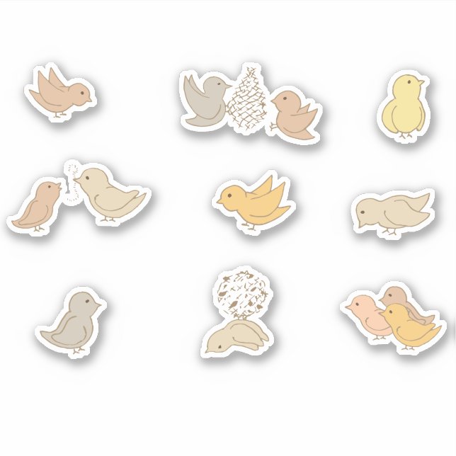 Adesivo Pássaros e Pintinhos - Pequenos Pássaros colam. (Frente)