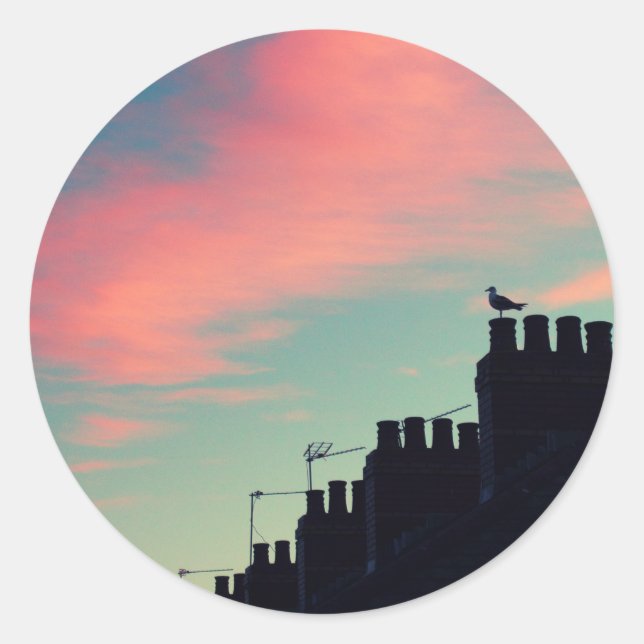 Adesivo Pássaros primitivos (Frente)