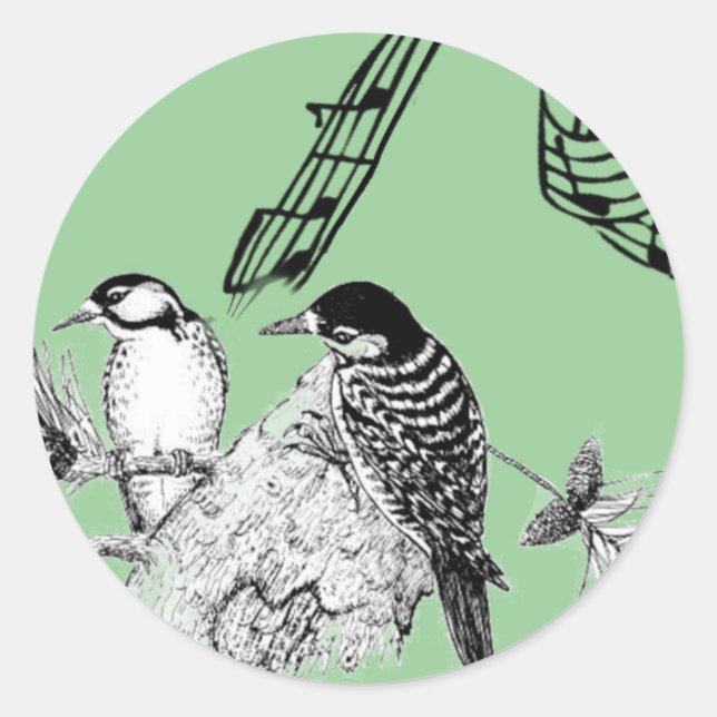 Adesivo Pássaros Vintage (Frente)