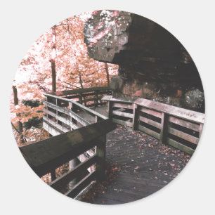 Adesivo passeio de brandura