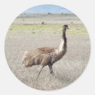 Adesivo passo do emu