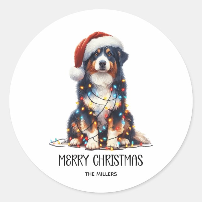 Adesivo Pastor australiano molhado à luz de Natal (Frente)