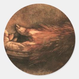 Adesivo Pata do macaco