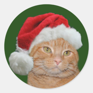 Adesivo Patas do papai noel