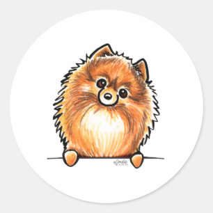 Adesivo Patas vermelhas de Pomeranian acima