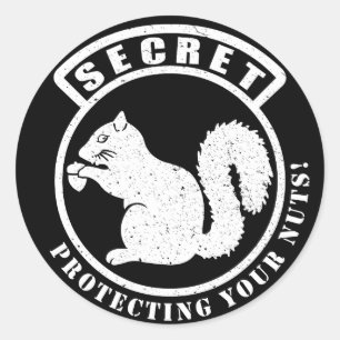 Adesivo Patch de Esquilo Secreto Protegendo Seus Loucos