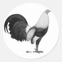 Pato De Cinza De Gamecock