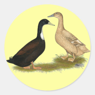 Adesivo Pato de colocação híbrido