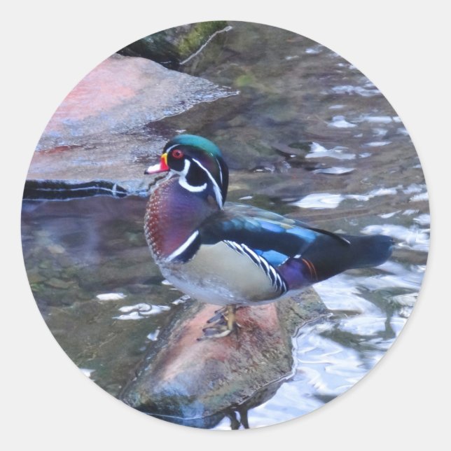 Adesivo Pato de Madeira 3 Stickers (Frente)