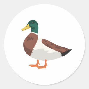 Adesivo Pato de Mallard