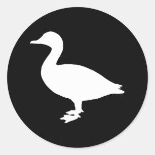 Adesivo Pato de Sheldrake