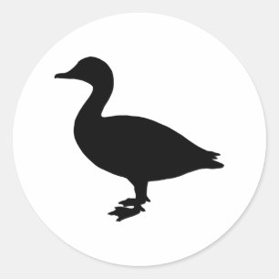 Adesivo Pato de Sheldrake