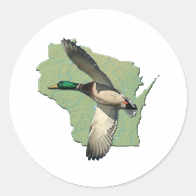 Adesivo Pato de Wisconsin (Frente)