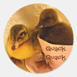 Adesivo Patos Adoráveis Dizem Muito