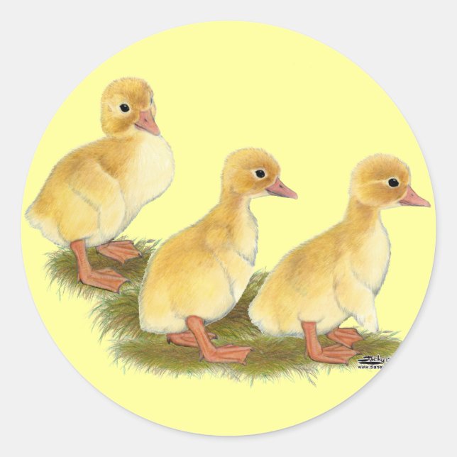 Adesivo Patos Amarelos (Frente)