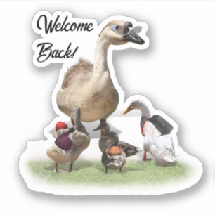 Adesivo Patos de Volta à Escola