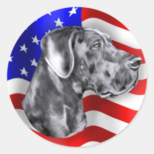 Adesivo Patriot Dane Blue UC