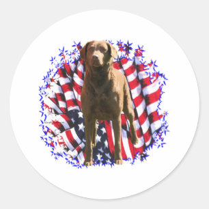 Adesivo Patriota do Retriever de baía de Chesapeake
