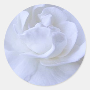 Adesivo Pau de Casamento Rosa Branco