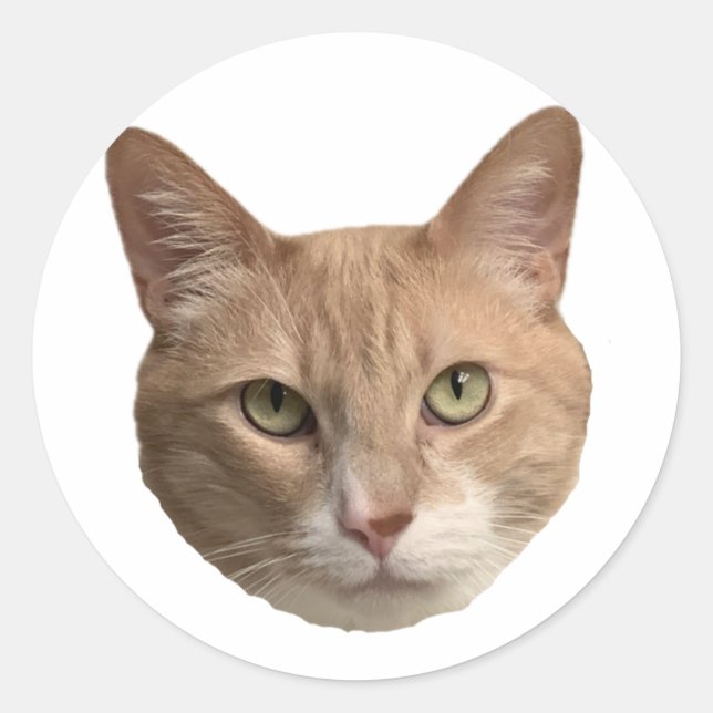 Adesivo Pau de Floyd! (Frente)