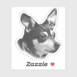 Adesivo Pau de Ruby transparente!