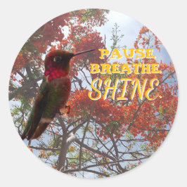 Adesivo PAUSE. BREATHE. SHINE. Hummingbird 