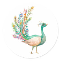 Pavão em Aquarela