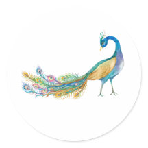 Pavão em Aquarela II