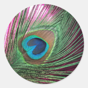 Adesivo Pavão magenta