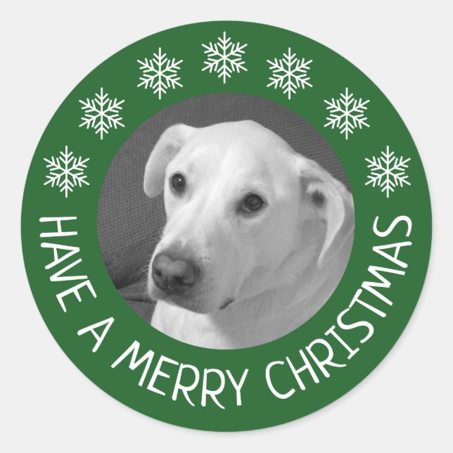 Adesivo Peaceful White Dog Photo Merry Christmas Green (Frente)