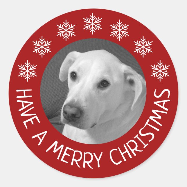 Adesivo Peaceful White Dog Photo Merry Christmas Red  (Frente)