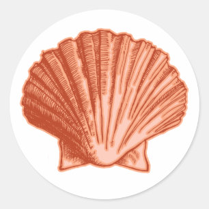 Adesivo Peach Orange Seashell Stickers