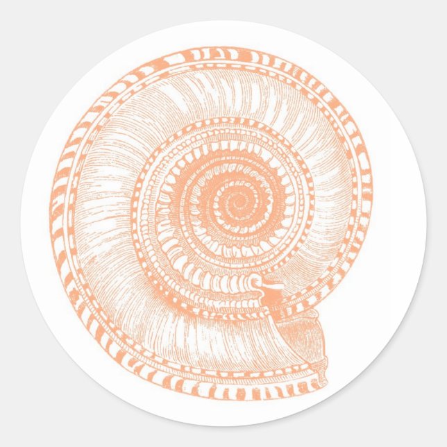Adesivo Peach Seashell Sticker (Frente)