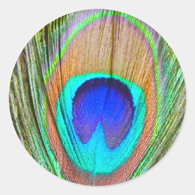 Adesivo Peacock (Frente)