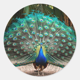 Adesivo Peacock Feather Fanning