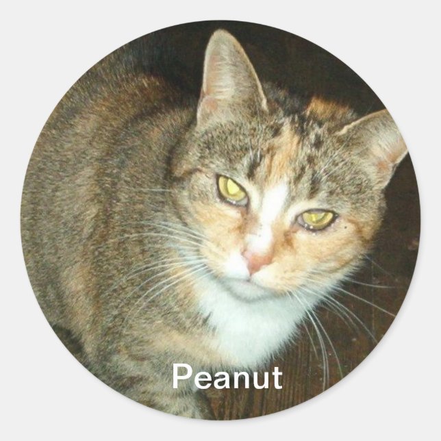 ADESIVO PEANUT STICKER (Frente)
