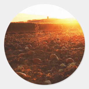 Adesivo Pedaço do Abóbora do Pôr do Sol Amarelo