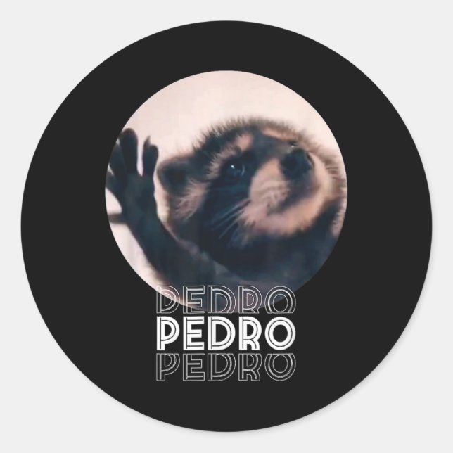 Adesivo Pedro Racoon Dance Popular Internet Memache D (Frente)