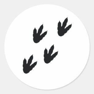 Adesivo pegadas de dinossauro