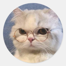 Adesivo Pegatina de gato