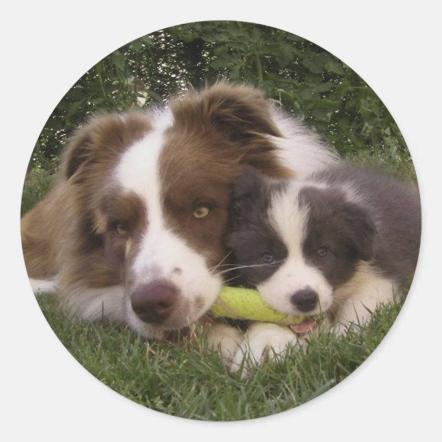 Adesivo Pegatina Kun y Vir (Frente)