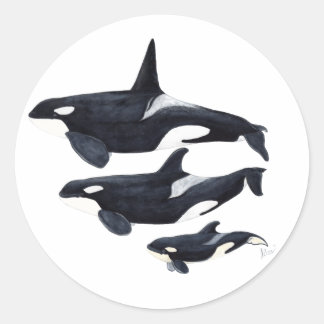Adesivo Pegatina orca