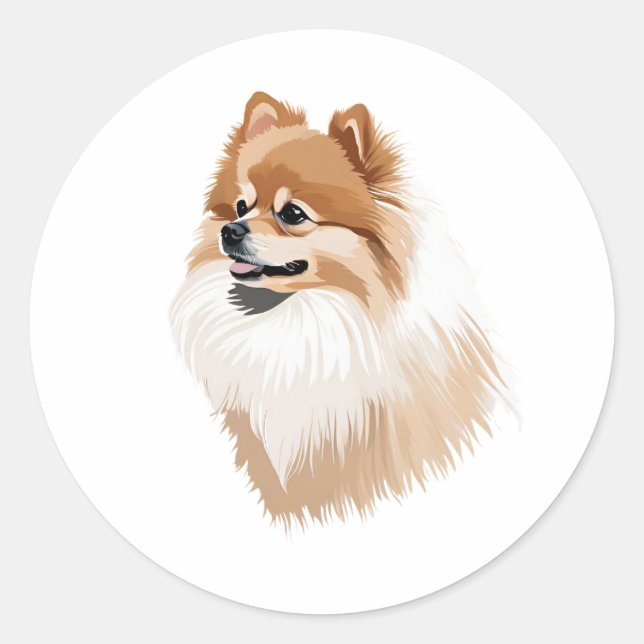 Adesivo Pegatina perro Pomeranian (Frente)