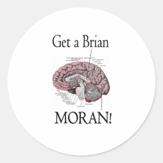 Adesivo Pegue um Brian, Moran!