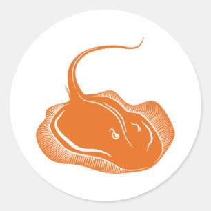 Adesivo Peixe-Aranha