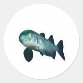 Adesivo Peixe-Barreleye de Águas Profundas Adesivo, Cabeça
