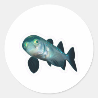 Adesivo Peixe-Barreleye de Águas Profundas Adesivo, Cabeça