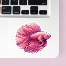Peixe Betta Rosa