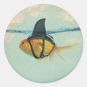 Adesivo Peixe Dourado com uma Barbatana de Tubarão