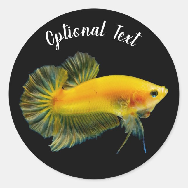 Adesivo Peixe Lutador Betta Amarelo (Frente)